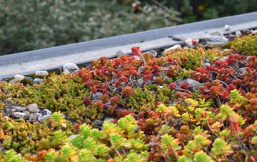 the cost of Heol Y Gaer green roof installation